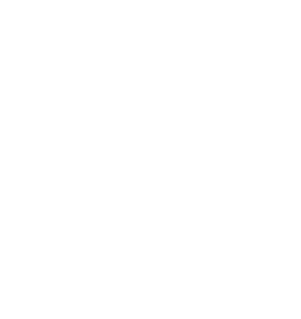 Vector Icon